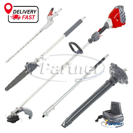 DSi 530 D - Kit con 5 applicazioni, batteria Bi 540 e caricabatteria CRG 520 - Efco