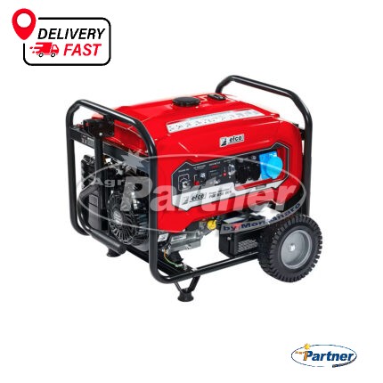 GENERATORE DI CORRENTE PGE 65E DCS - Efco